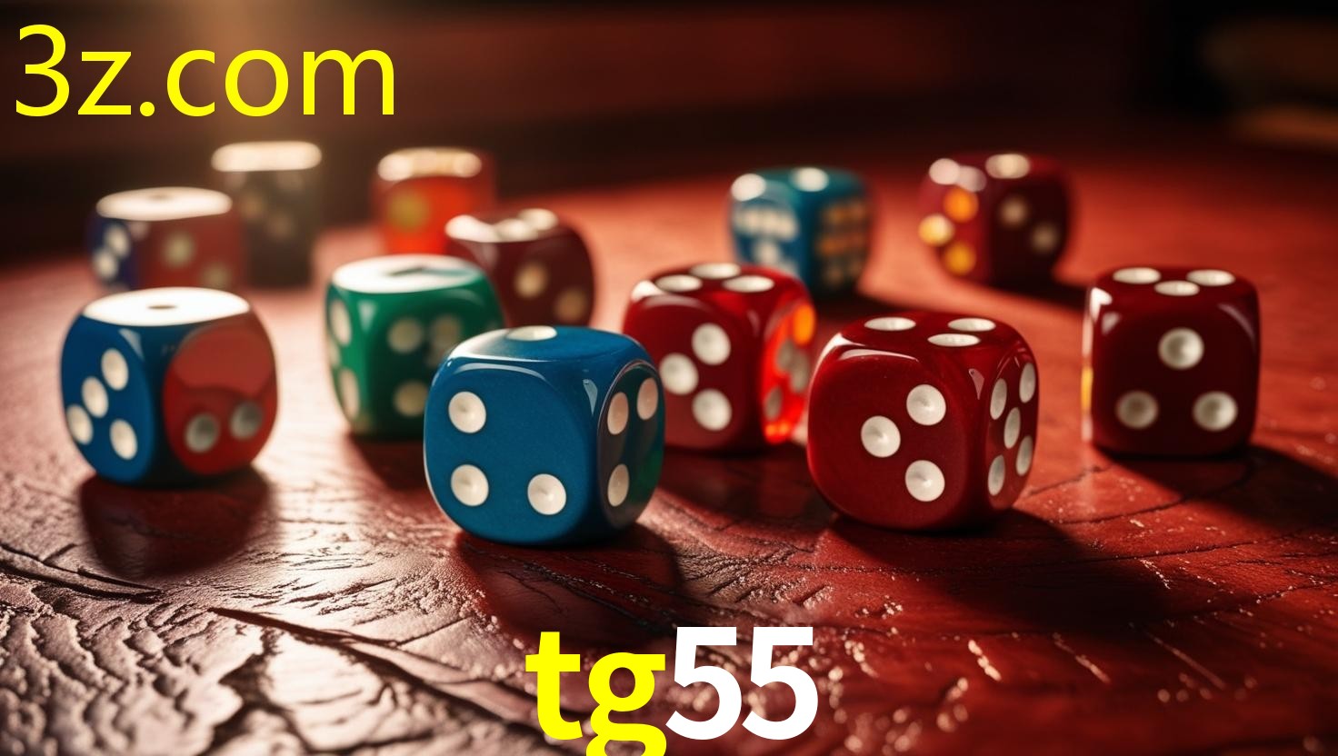 TG55.COM